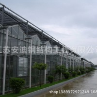 安迪供應 玻璃溫室 頂部全開啟式連棟溫室 溫室大棚 連棟溫室
