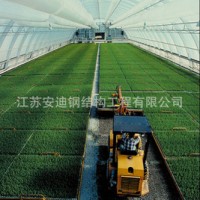 供應鋼結構網架連棟溫室大棚，廠家直接供貨