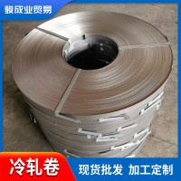 佛山現貨供應SGCC精準平直冷軋卷 dc04冷軋鋼帶廠家