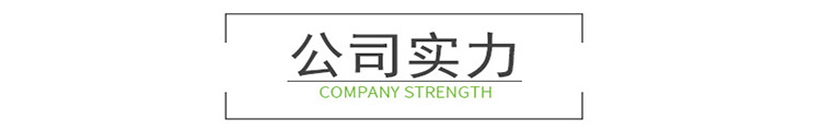 公司實力
