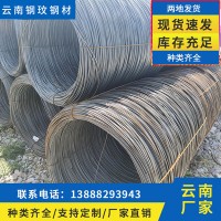 鋼材批發廠家供應圓盤線材 規格齊全質量保障 盤螺線材支持定制