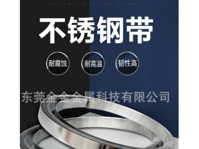 304不銹鋼帶 薄鋼板 316不銹鋼薄片鋼皮 彈簧鋼帶 0.1 0.2 0.3mm
