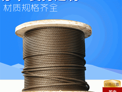 批發寵物牽引光面鍍鋅鋼絲繩加工定制PVC晾衣鋼絲繩涂塑鋼絲繩