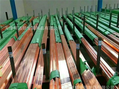 供應鍍錫紫銅排 10mm*250mm鍍錫銅排廠家