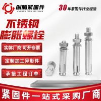工廠(chǎng)供應(yīng)不銹鋼膨脹螺栓 外六角膨脹螺栓4.8級(jí)膨脹螺絲膨脹栓現(xiàn)貨