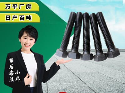 廠家供應GB30鍍鋅螺栓 高強度鍍彩鋅螺絲 8.8級外六角達克羅螺栓