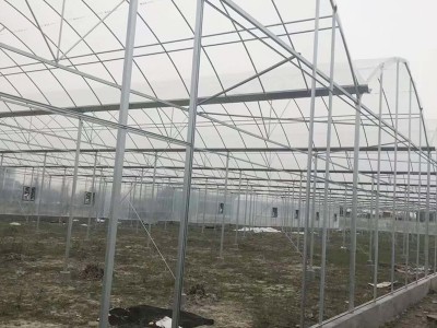 薄膜連棟溫室 種植溫室大棚 農業薄膜大棚 廠家供應